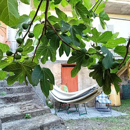 Casa Etna Hébergement de vacances Solicchiata